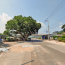 류충걸 묘소 및 신도비 이미지