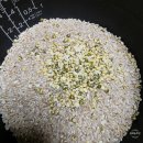 쌀팜 | 건강간식 재료 산지직송 국산 깐녹두 잡곡 쌀 늘찬팜 후기