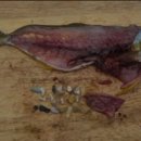 자연과우리 이미지