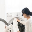 패밀리(FAMILY) 이미지