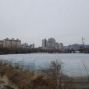 서현개발 네이버블로그