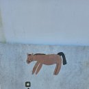 농은목장 | 제주 승마체험 완벽했던 목장카페 밭디