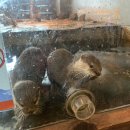 야우농장 이미지