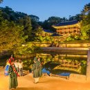 (하반기_야간)바로 써먹는 여행 일본어 | “달빛 아래 고궁 산책의 낭만!” 2025년 창덕궁 달빛기행 예매 방법과 꿀팁 완벽 정리