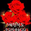 5월30일 행복의 주인공이 되자👍 세렌디피티의 법칙(Serendipity’s Law)이란?💌🍒장수 비결, '청어'🍒 이미지