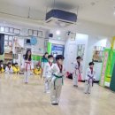 용인대 명성 태권도 이미지