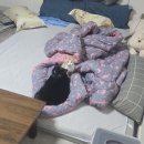 머리못하는집 등촌점143호 | 2025년 11월, 여기저기 가장 행복했던 한달