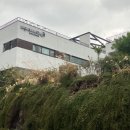 카페드콜리