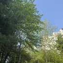 고당구장 | (고양시/덕양구) 덕양구 보건소 산전검사 준비물 주차 방문 후기
