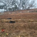 목화농원 이미지