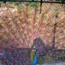 분토골농장 이미지