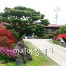 삼화관광농원 이미지