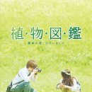 식물도감 이미지
