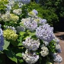 동광리-7 이미지