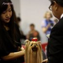 파라키스 이미지