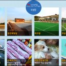 사계절펜션형민박 이미지