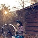 Force of Nature 이미지