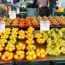 금강야채과일 이미지