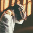목동인의한의원 이미지