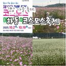꽃내린영농조합법인 | 경남 가을 축제 &#34;하동 북천 코스모스 메밀꽃 축제&#34; 방문 후기!(일정/주차/실시간 상황 포함)