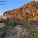 가덕1리 마을회관 이미지