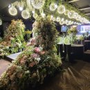 (주)비엔티 이미지