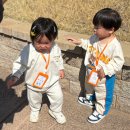 🌸두근두근 연암정원에서의 첫번째 봄소풍🌸 이미지