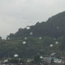 용원이네