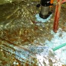 하와이장 이미지