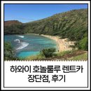 카페할로나 - 성남시 분당구 판교로289번길 20 | 하와이 호놀룰루 렌트카 장단점 후기, 예약 전 꼭 봐야 할 가격 쿠폰 정보
