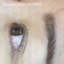 가가래쉬
