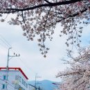 이마트24 아산호서대점