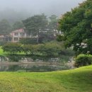 고성노벨컨트리클럽골프텔 | 고성 노벨CC 완벽가이드｜바다뷰 27홀 코스·그린피·패키지·예약 (2025 최신)