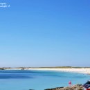 오늘DOG예쁨 이미지