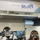 서련학원 | 새로운 해가 떴다 1월 1일부터 뭐 했냐면은....
