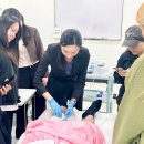 수원-0843 이미지