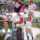 촌티 Daum카페
