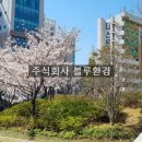 주식회사 비트블루