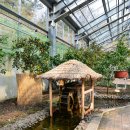 감귤박물관 위 이미지