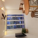 스테이 레헴 이미지