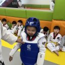 바른i 태권도 이미지