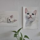 오수동물병원 이미지