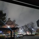 구름이 쉬는 나무 이미지