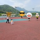 춘천 송암스포츠타운 족구장 이미지