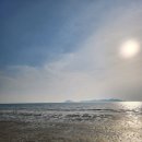 샤론침구 - 사천시 동금2길 15 | 태안 맛조개 체험 가능한 샤론펜션 직접 다녀온 후기