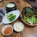 신참아나고 이미지