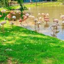 순천만그리고나 이미지