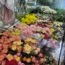 미란꽃방 이미지