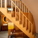 소나무세상 이미지