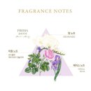 노벨라 별하나 이미지